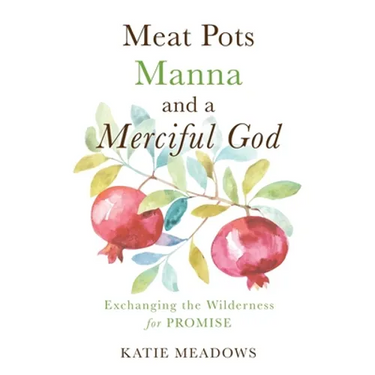 Meat Pots, Manna, and a Merciful God: Exchanging the Wilderness for Promise