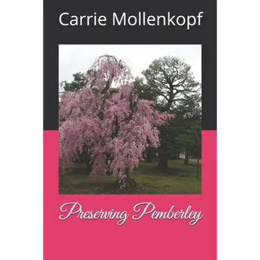 Preserving Pemberley