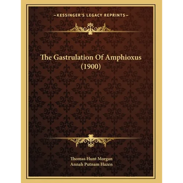 The Gastrulation Of Amphioxus (1900)