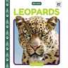 Leopards