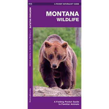 Montana Wildlife: A Folding Pocket Guide to Familiar Animals