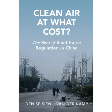 Clean Air at What Cost?
