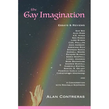 The Gay Imagination