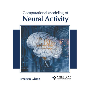 Computational Modeling of Neural Activity