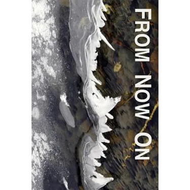 From Now On: Easing and Transforming Lives Interrupted by Illness or Injury: an Introduction to the Philosophy, Practices, and Proc