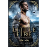 Little Fire