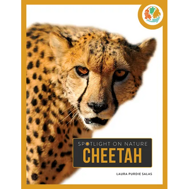 Cheetah