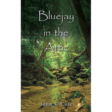 Bluejay in the Attic