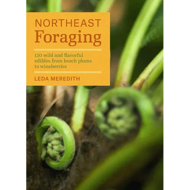 Northeast Foraging: 120 Wild and Flavorful Edibles from Beach Plums to Wineberries
