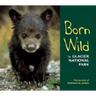 Born Wild in Glacier National Park