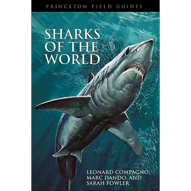 Sharks of the World