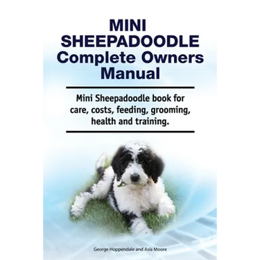 Mini Sheepadoodle Complete Owners Manual. Mini Sheepadoodle book for care, costs, feeding, grooming, health and training.