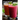 50 Fresh and Tasty Smoothies