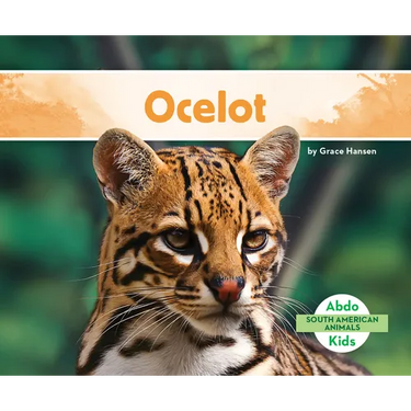 Ocelot