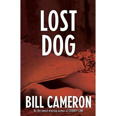 Lost Dog