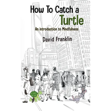 How to Catch a Turtle: An Introduction to Mindfulness