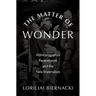 Matter of Wonder: Abhinavagupta's Panentheism and the New Materialism