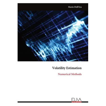 Volatility Estimation: Numerical Methods