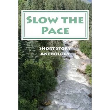 Slow the Pace: Short Story Anthology