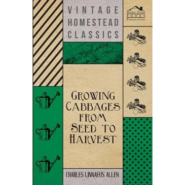 Growing Cabbages from Seed to Harvest