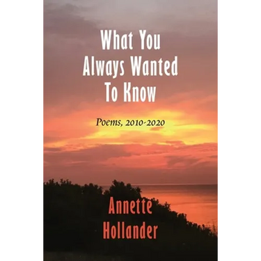 What You Always Wanted To Know: Poems, 2010-2020