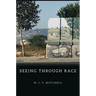Seeing Through Race