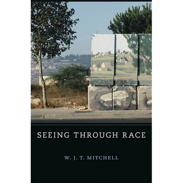 Seeing Through Race