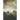 Seed