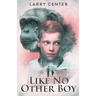 Like No Other Boy