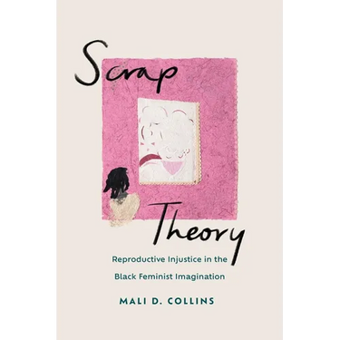 Scrap Theory: Reproductive Injustice in the Black Feminist Imagination