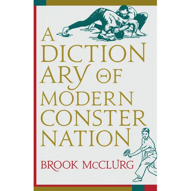 Dictionary of Modern Consternation