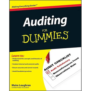 Auditing for Dummies