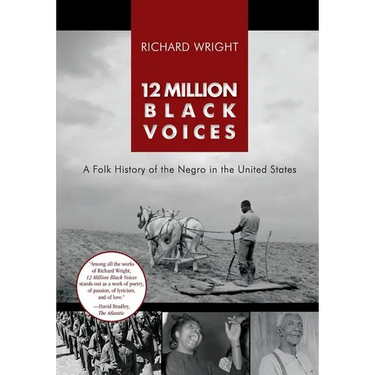 12 Million Black Voices