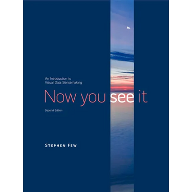 Now You See It: An Introduction to Visual Data Sensemaking