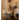 Bears of North America: Black Bears, Brown Bears, and Polar Bears