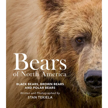 Bears of North America: Black Bears, Brown Bears, and Polar Bears