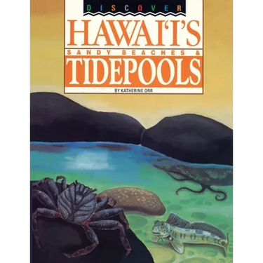 Discover Hawaii's Sandy Beaches and Tidepools