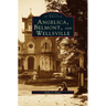 Angelica, Belmont, and Wellsville