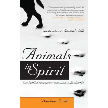 Animals in Spirit: Our Faithful Companions' Transition to the Afterlife