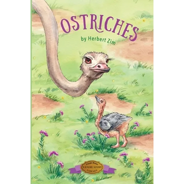 Ostriches
