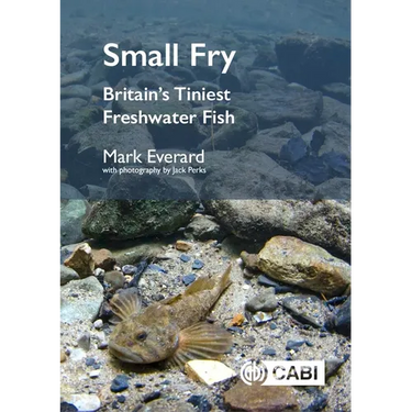 Small Fry: Britain's Tiniest Freshwater Fish
