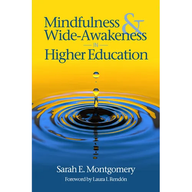 Mindfulness & Wide-Awakeness in Higher Education