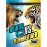 Asiatic Lion vs. Bengal Tiger