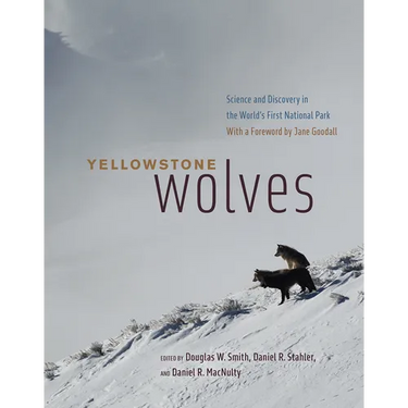 Yellowstone Wolves: Science and Discovery in the World's First National Park