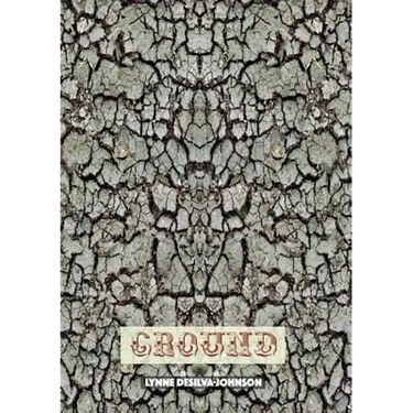 Ground