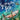 Swim With Fish
