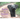 Peanut the Elephant