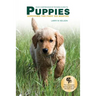 Your Comprehensive Training Guide to PUPPIES: Surviving the First Six Months