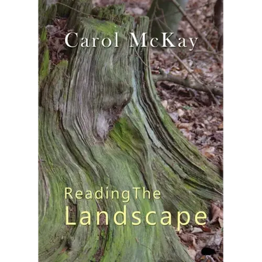 Reading The Landscape