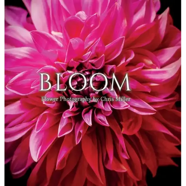 Bloom: Flower Photography by Chris Miller